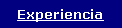 Cuadro de texto: Experiencia